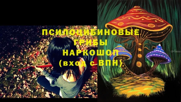 МДПВ Абдулино